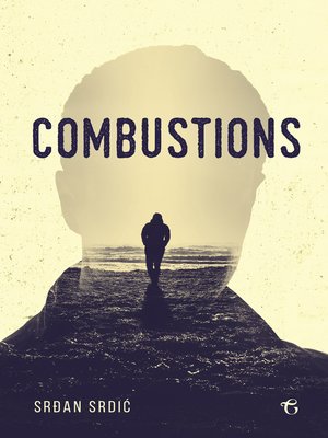 cover image of Combustions